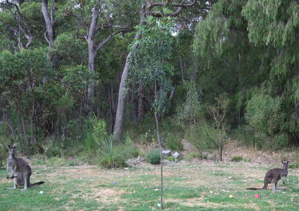 Margaret River Bed & Breakfast Exterior photo